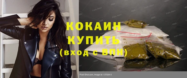 крисы Новокубанск