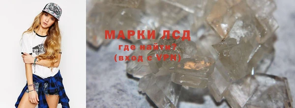 крисы Новокубанск