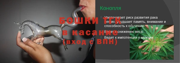 крисы Новокубанск